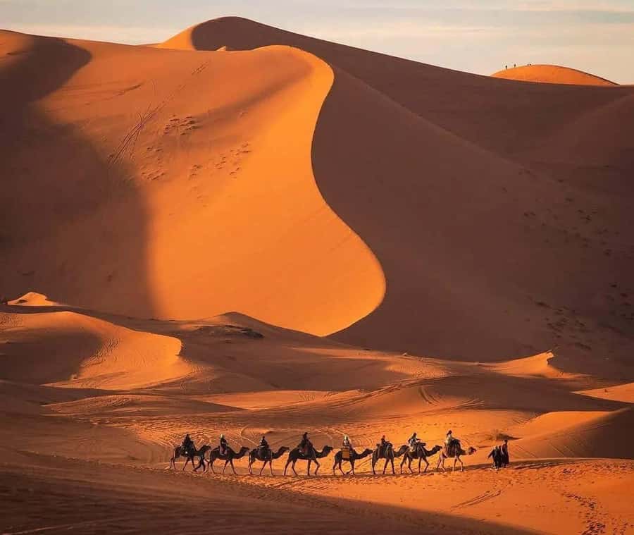 Marrakech: 3-day Exclusive Desert Luxury Tour; Quad & Camels - Who should book this desert trip?