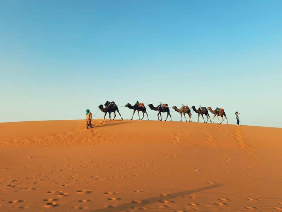 Marrakech: 3-day Merzouga Desert, Camel, Quad & Privat Tent - From Marrakech to the High Atlas in one morning