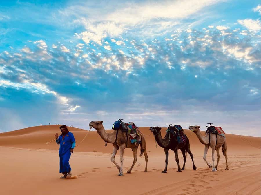 Marrakech: 3-Day Merzouga Desert Tour Camel & Sandboarding - Walking through Todra Gorges