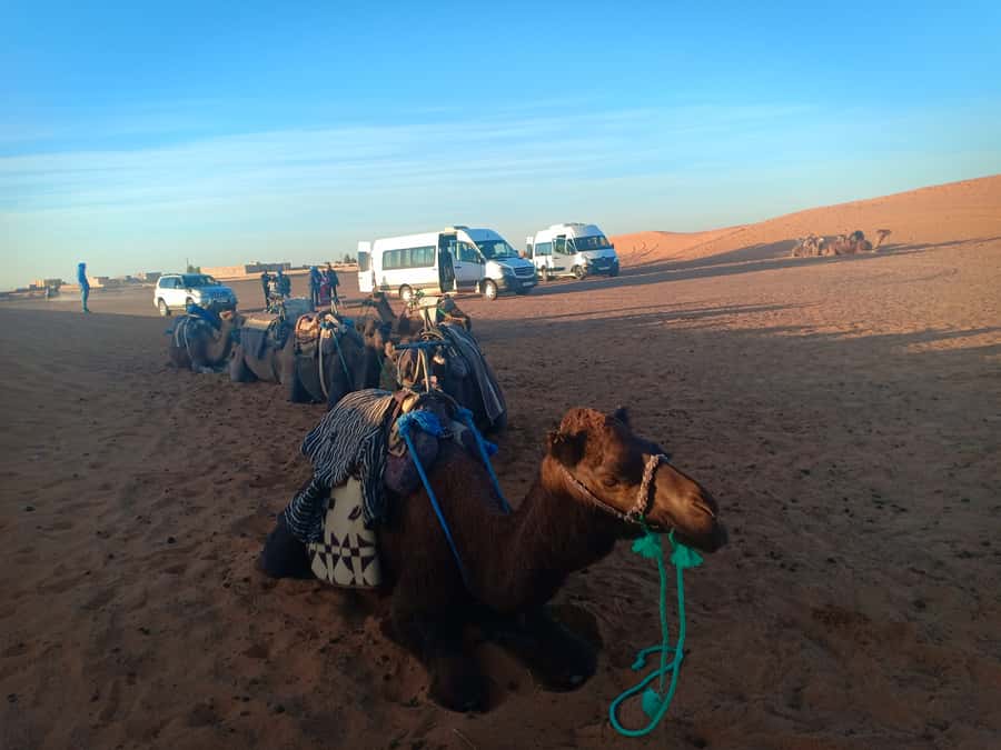 Marrakech: 3-Day Merzouga Sahara Desert Tour with Quad Ride - Guides and driving make the difference