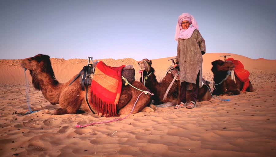 Marrakech: 3Day Luxurious Merzouga Tour w/ Camel&Quad Option - Day three: the long return to Marrakech