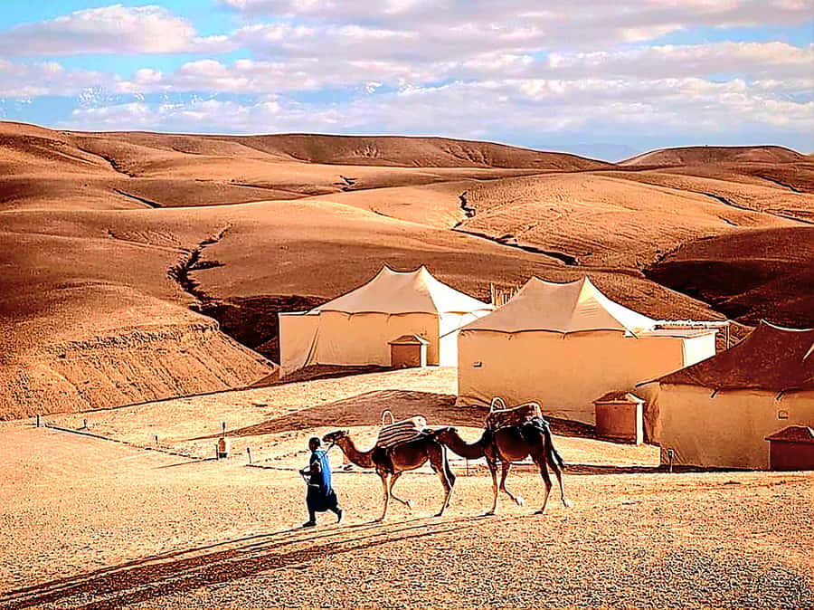 Marrakech Adventure: Agafay Desert Quad, Camel, Lunch - Learning the quad bike before heading out