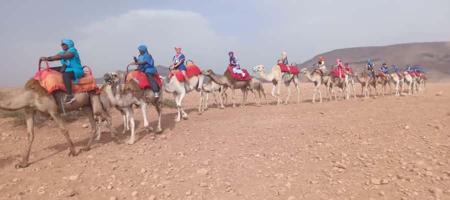 Marrakech Adventure: Agafay Desert Quad, Camel, Lunch - Lunch in a Berber tent with open views