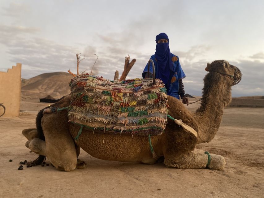 Marrakech: Agafay Desert Buggy Tour with Transfer - Looking toward the Atlas Mountains