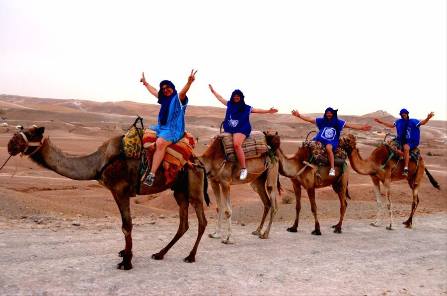 Marrakech: Agafay Desert Buggy Tour with Transfer - Pickup is the detail to take seriously