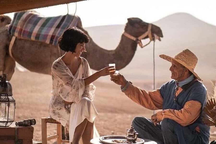 Marrakech: Agafay Desert Camel, Quad Bike & Dinner Show - Key points to know before you book