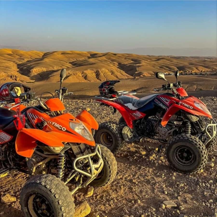 Marrakech: Agafay Desert Camel, Quad Bike & Dinner Show - Moroccan dinner beneath the stars