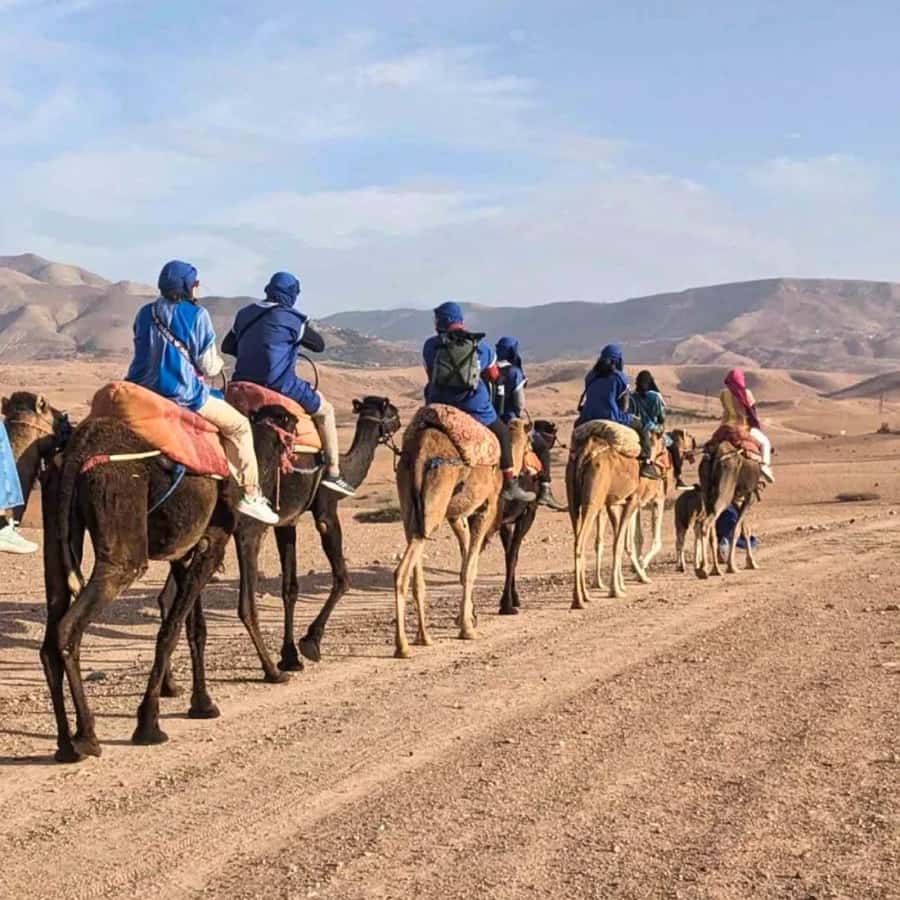 Marrakech: Agafay Desert Camel Ride & Quad with Dinner Show - Dinner under the tent keeps the evening going
