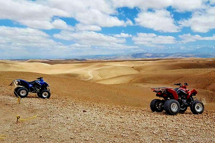 Marrakech: Agafay Desert Dinner Show with Quad Bike & Camel - Dinner under the stars at the camp