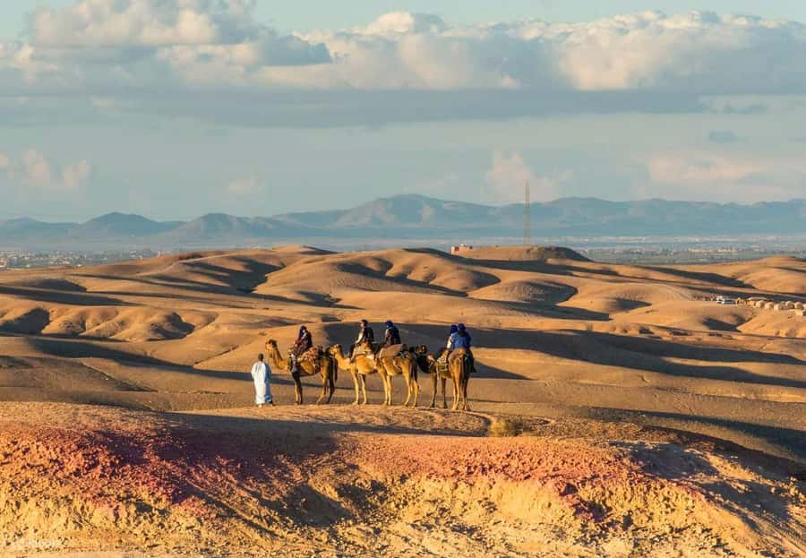 Marrakech: Agafay Desert Dinner Show with Quad Bike & Camel - What the $22 price really includes