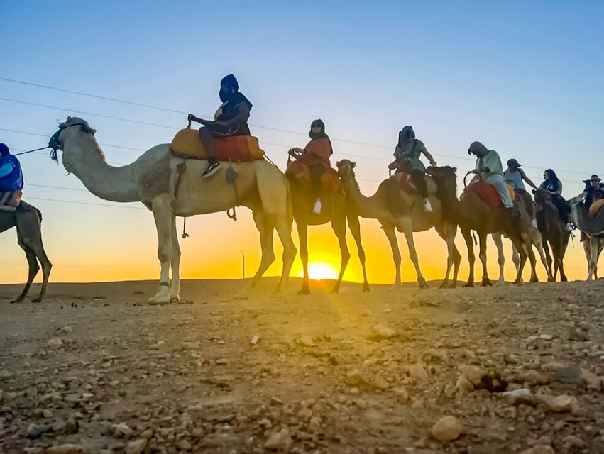 Marrakech: Agafay Desert Escape with Quad or Camel Ride - The pool stop is a useful pause