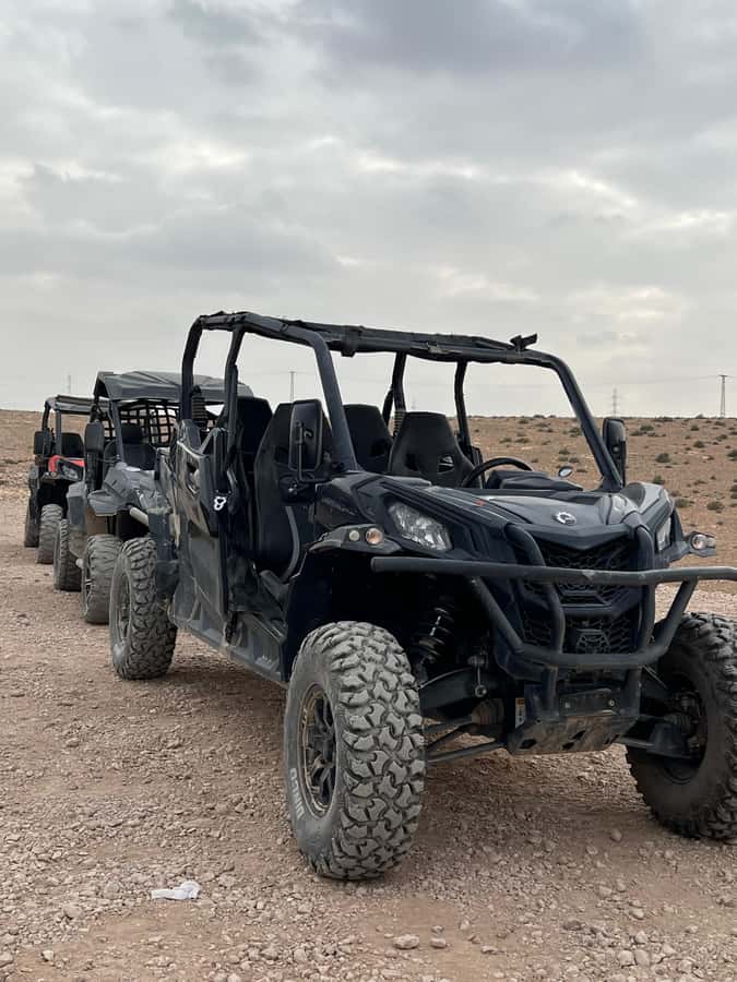 Marrakech: Agafay Desert Quad Bike & Camel Ride with Dinner - Who Should Book This Evening?