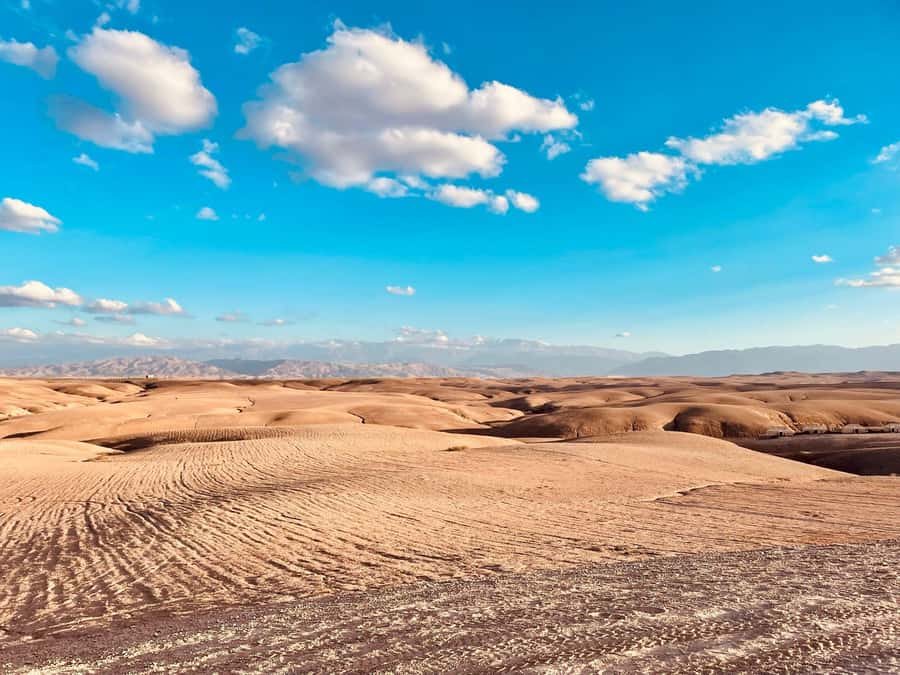 Marrakech: Agafay Desert Quad Bike Tour with Moroccan Tea - Riding the rolling dunes for 60 to 120 minutes