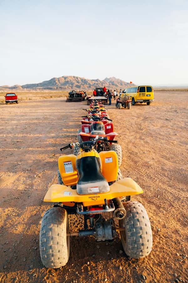 Marrakech: Agafay Desert Quad Bike with Camels & Dinner Show - Key points at a glance