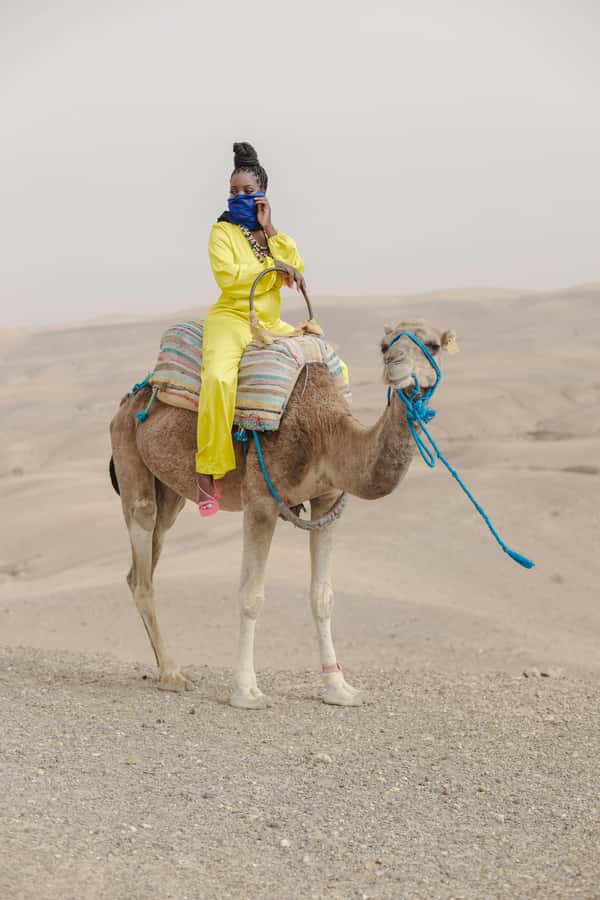 Marrakech: Agafay Desert Quad Bike with Camels & Dinner Show - Music, fire, and the night sky