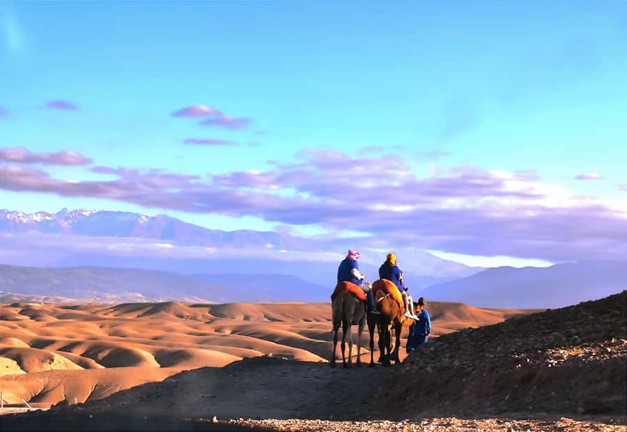 Marrakech: Agafay Desert Quad, Camel or Pool Day with Lunch - Mint tea, camp views, and the first pause