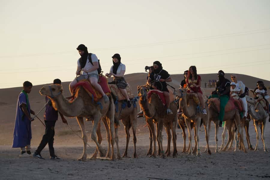 Marrakech: Agafay Desert Quad, Camel or Pool Day with Lunch - Pool time with a rocky desert backdrop