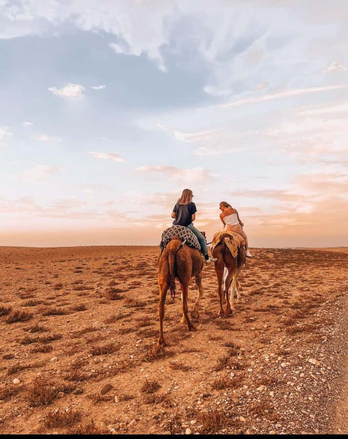 Marrakech: Agafay Desert Quad, Camel Ride & Dinner Show - Should you book this tour?