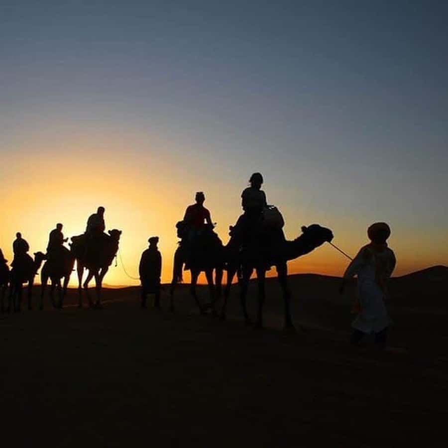 Marrakech: Agafay Desert Quad & Camel Rides Whit Dinner Show - Key points to know before booking