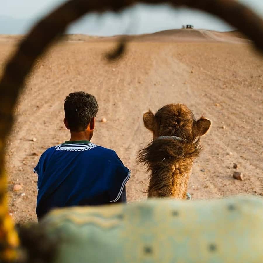 Marrakech: Agafay Desert Quad & Camel Rides Whit Dinner Show - Quad biking on Agafay’s rocky trails