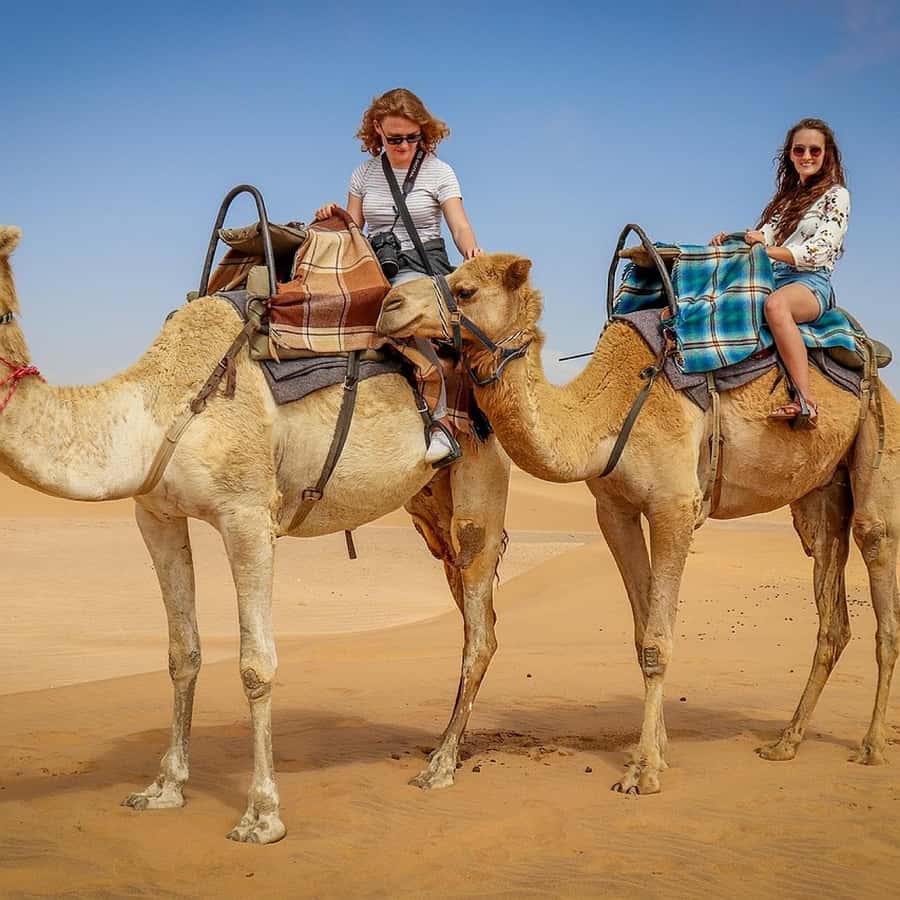 Marrakech: Agafay Desert Quad & Camel Rides Whit Dinner Show - Sunset, Moroccan dinner, and an evening show