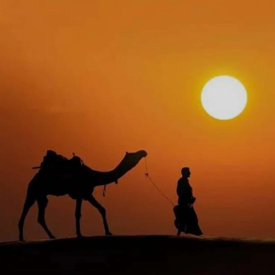 Marrakech: Agafay Desert Quad & Camel Rides with Dinner Show - Key points to know before booking