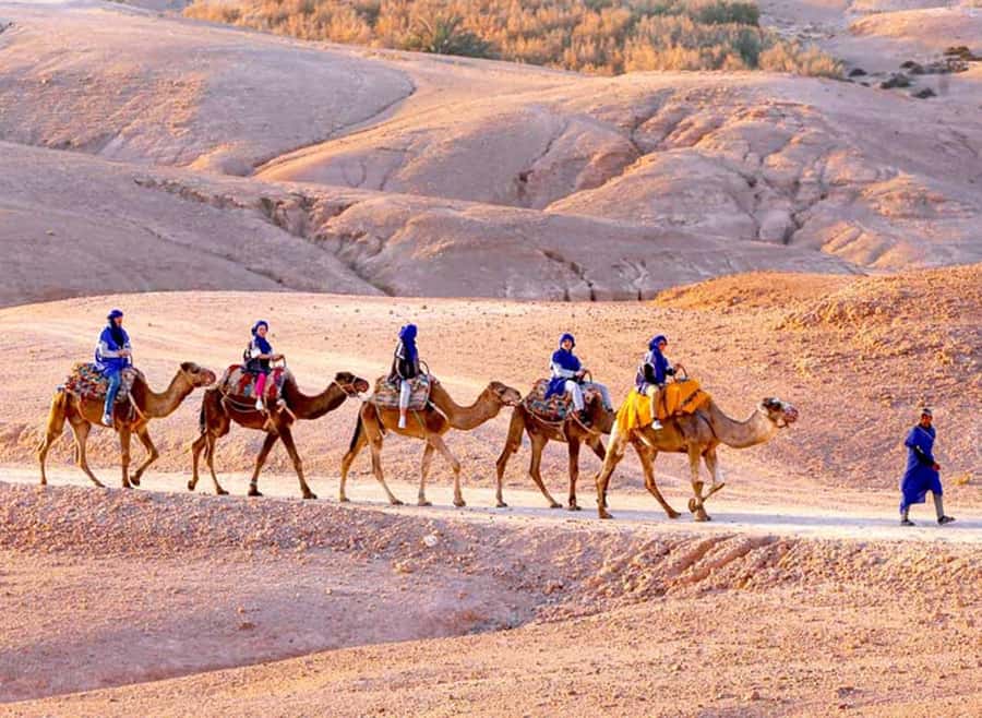 Marrakech: Agafay Desert Quad & Camel Rides with Dinner Show - The argan oil cooperative adds a local stop