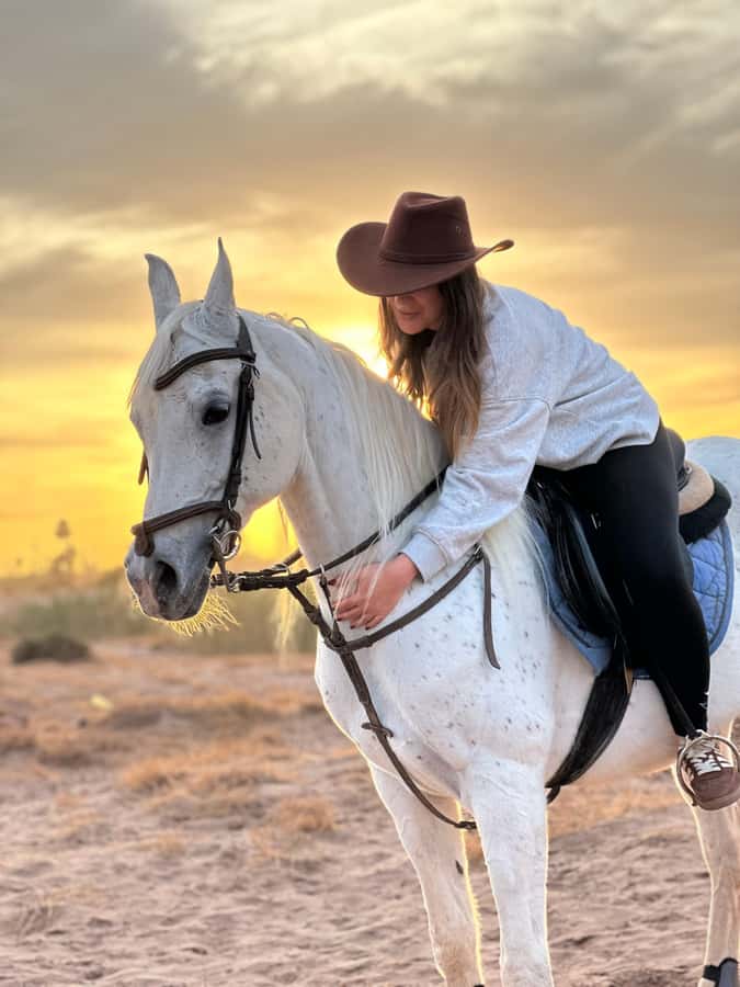 Marrakech: Buggy Adventure & Horse Riding in the Palm Grove - Key points at a glance