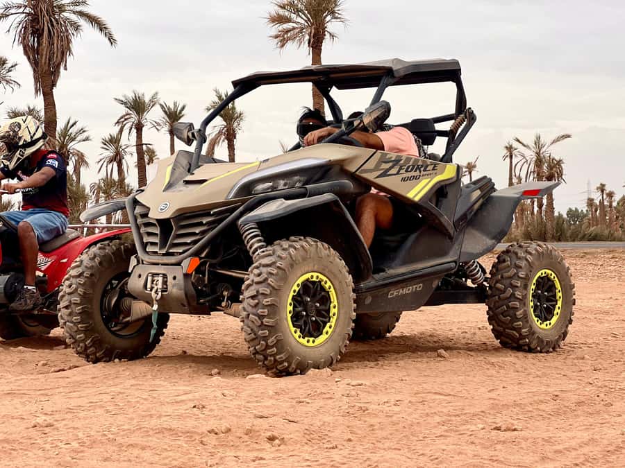 Marrakech: Buggy Adventure & Horse Riding in the Palm Grove - The one-hour guided horse ride