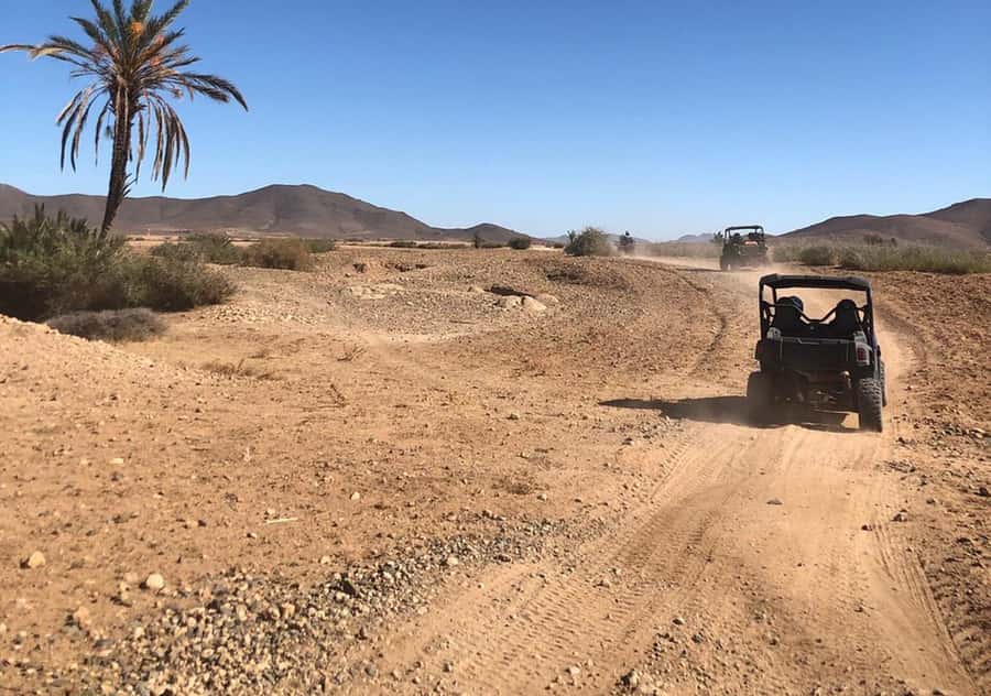 Marrakech: Buggy Experience at Palmeraie with Hotel Pickup - Key points at a glance