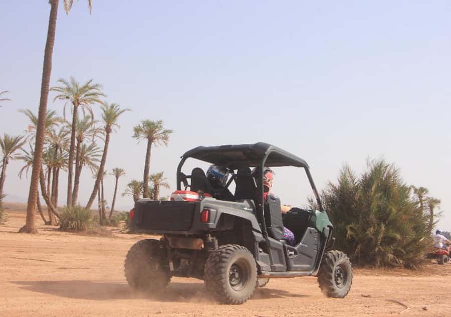 Marrakech: Buggy Experience at Palmeraie with Hotel Pickup - Off-road driving among the palm trees