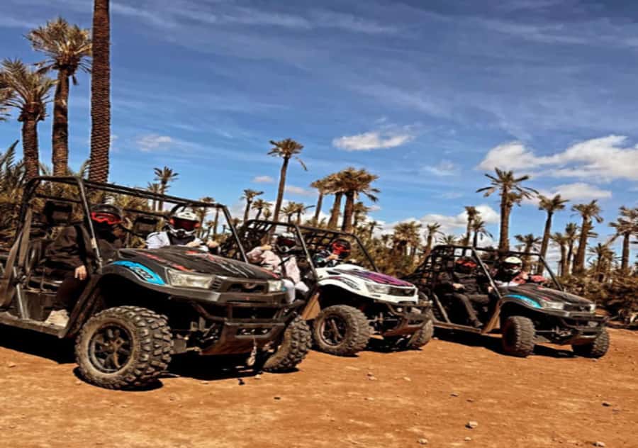 Marrakech: Buggy Experience at Palmeraie with Hotel Pickup - What the $74 price really covers
