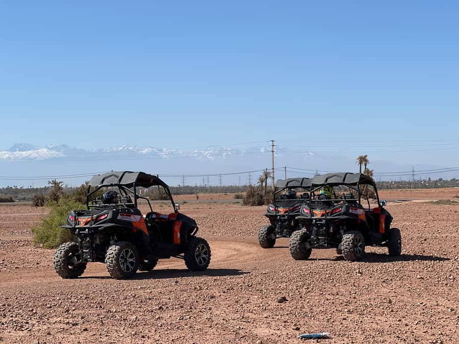 Marrakech Buggy Palmerie and Desert - Who will enjoy this ride most