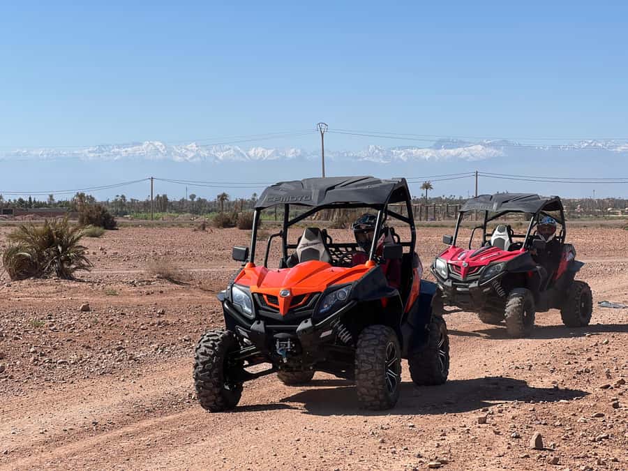 Marrakech Buggy Palmerie and Desert - Should you book the Marrakech buggy experience?