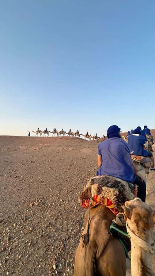 Marrakech: Camel & Quad Bike Tour with Sunset, Dinner & Show - What to bring and what to know