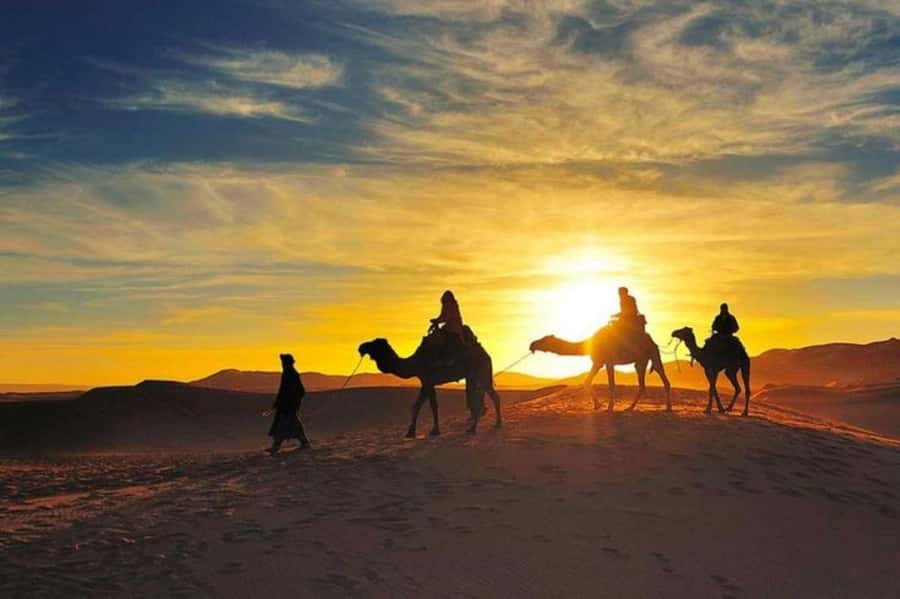 Marrakech: Camel & Quad Bike Tour with Sunset, Dinner & Show - From Marrakech Medina to the Agafay Desert