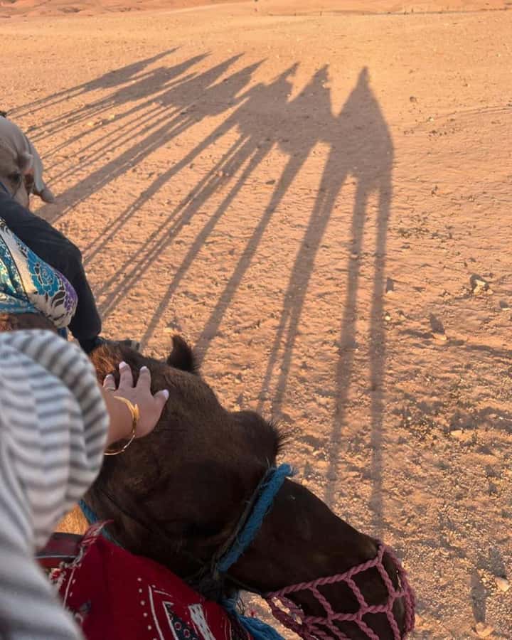 Marrakech: Camel & Quad Bike Tour with Sunset, Dinner & Show - Quad biking over Agafay’s rough tracks