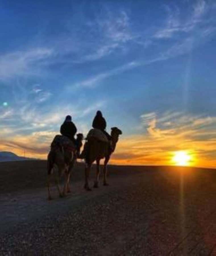 Marrakech: Camel & Quad Bike Tour with Sunset, Dinner & Show - Guides, languages, and the human side of the tour
