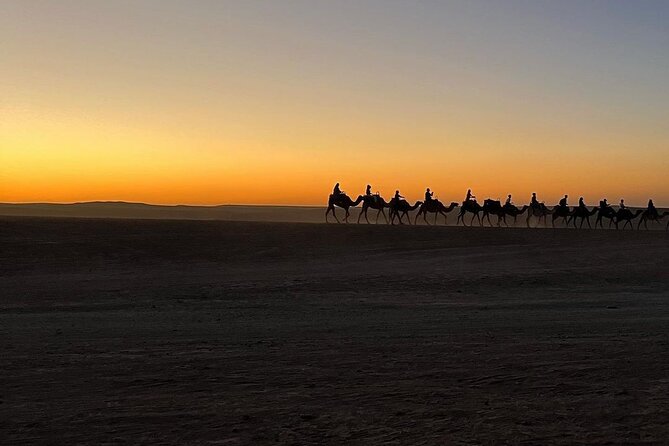 Marrakech: Camels & Quads on Sunset and Luxury Dinner with Show - Who will enjoy this Agafay evening most
