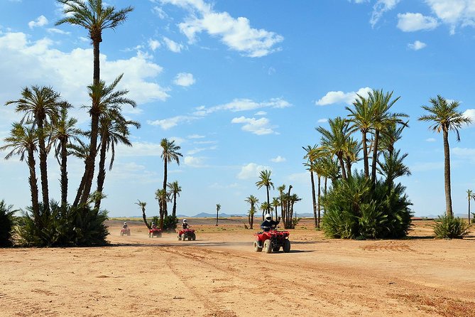 Marrakech Desert and Palm Grove Quad Bike Tour - Key points to know before you book