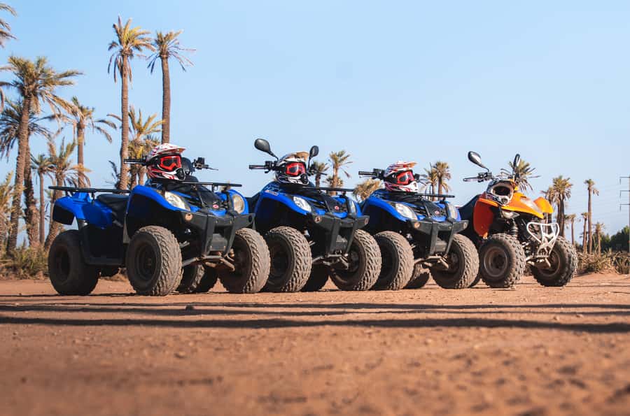 Marrakech: Desert and Palm Grove Quad Tour with Tea - Choosing the camel ride