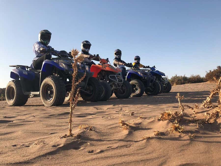 Marrakech: Desert and Palm Grove Sunset Quad Tour with Tea - The sunset photo stop in the palm grove