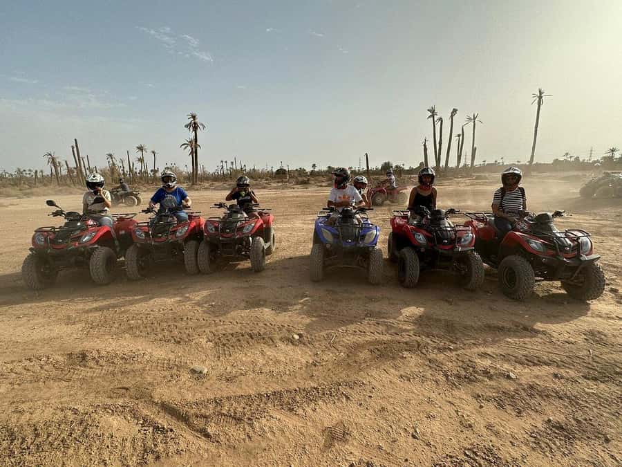 Marrakech: Desert and Palm Grove Sunset Quad Tour with Tea - What the $34 price really includes