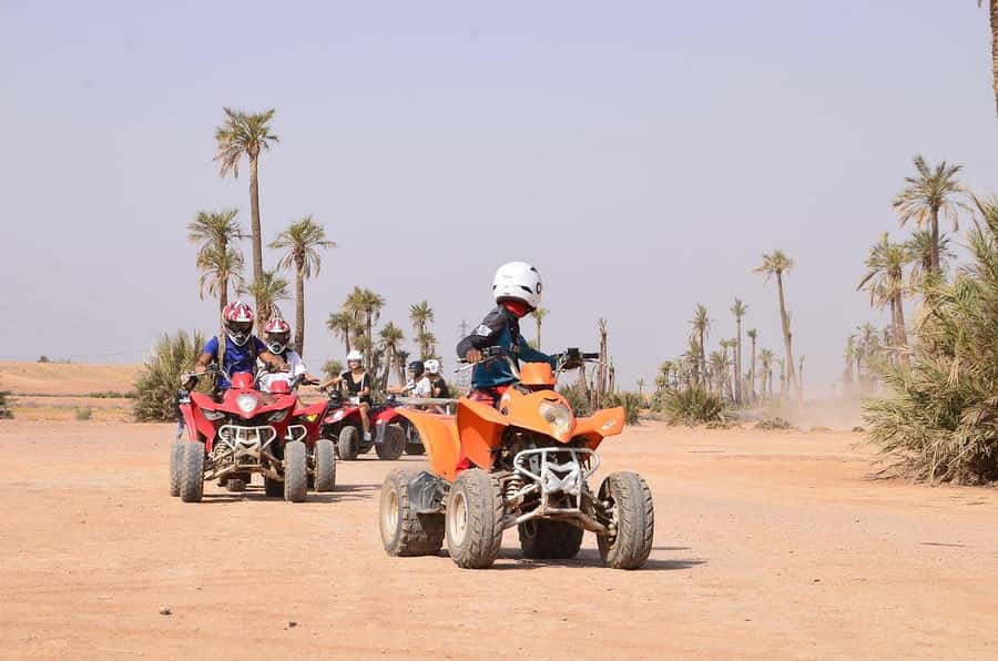 Marrakech: Desert and Palm Grove Sunset Quad Tour with Tea - Who will enjoy this Marrakech quad tour most