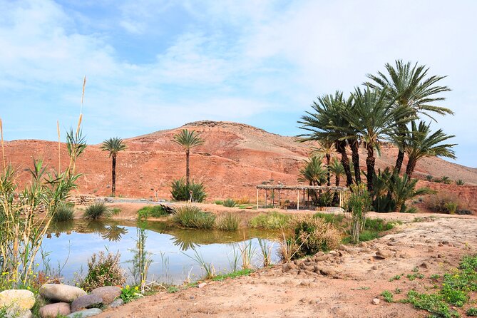 Marrakech Desert Buggy Tour Including Berber Tea Break and transfer - Is $86.32 good value?