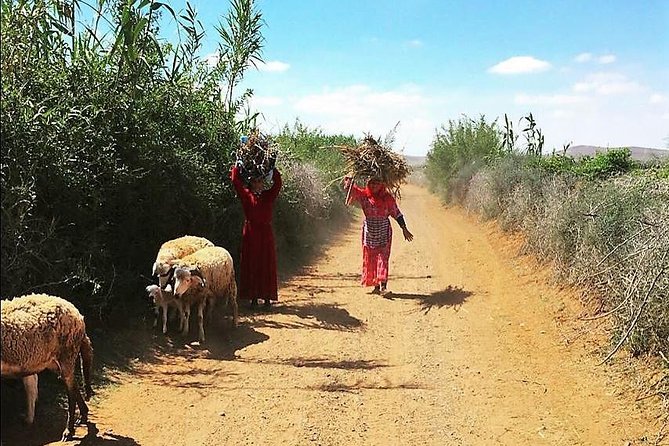 Marrakech Desert Buggy Tour Including Berber Tea Break and transfer - What to wear and bring