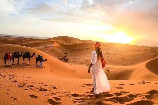 Marrakech Desert: Camel Ride, Quad Biking & Dinner Show Options - The transport, group size, and timing