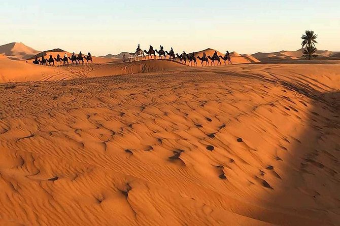 Marrakech Desert: Camel Ride, Quad Biking & Dinner Show Options - Sorting out the overnight desert information