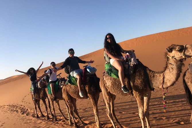 Marrakech Desert: Camel Ride, Quad Biking & Dinner Show Options - Who will get the most from this outing