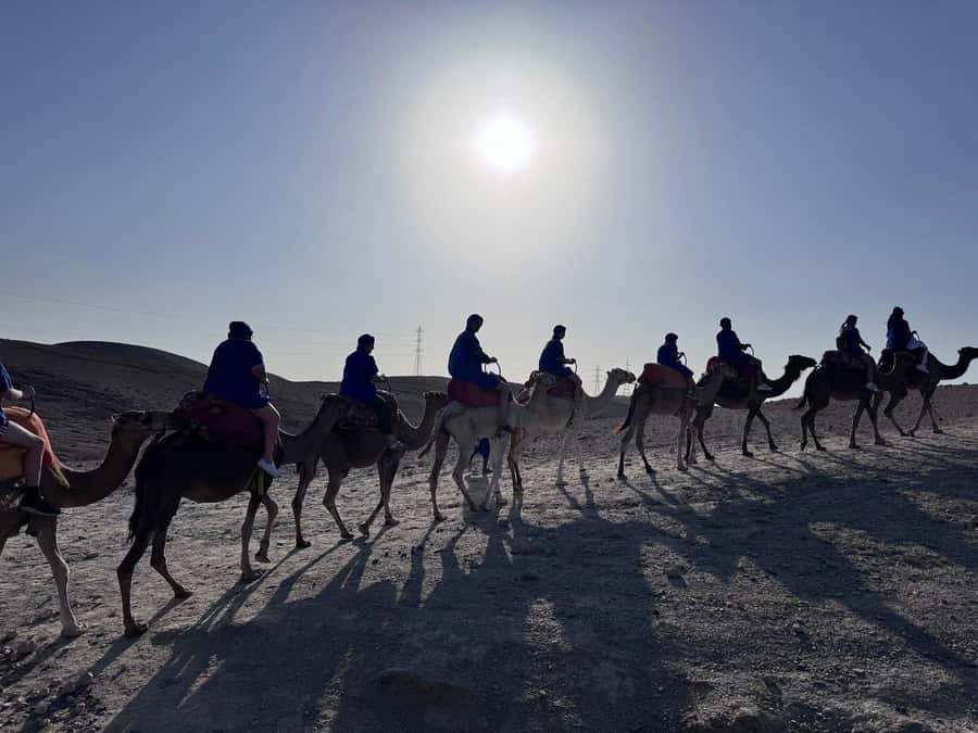 Marrakech: Desert Quad Bike Tour with Tea & Optional Dinner - Why the sunset departure costs more in time, not necessarily money